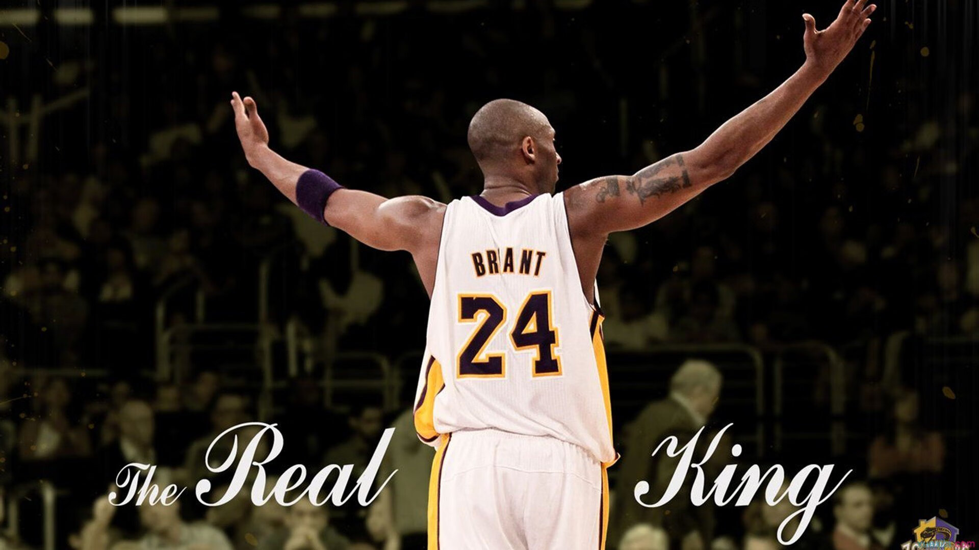 2026年世界残疾人乒乓球锦标赛 中国队包揽团体与多项单打金牌